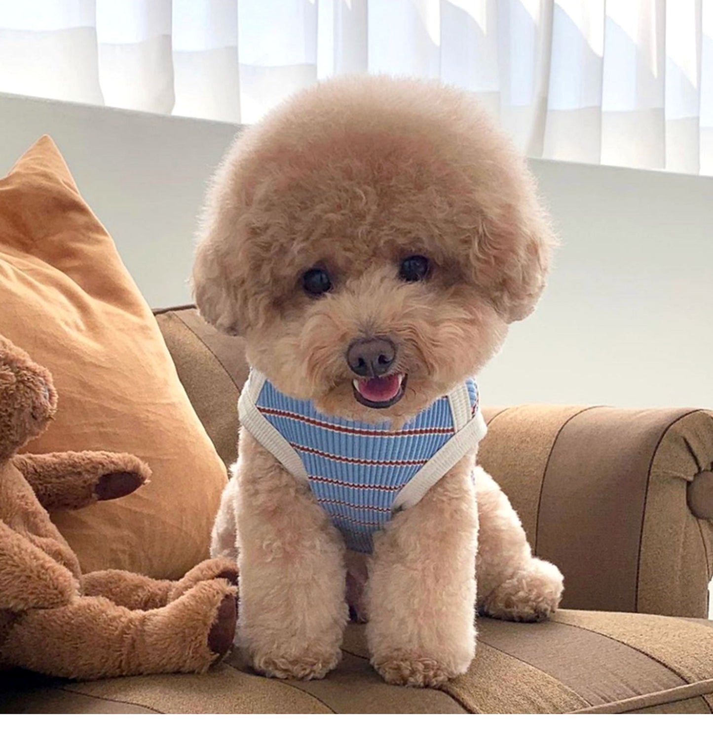 春夏新作 犬服 ペット服 犬 洋服 ペット 犬用品 小中型犬 夏薄型ペットベスト猫小型子犬犬服夏