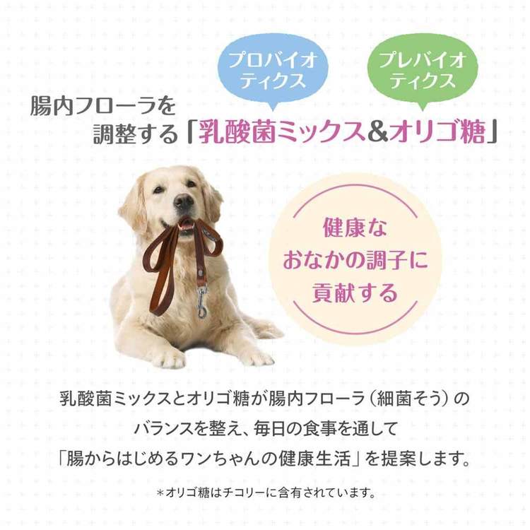 おなかラボ 成犬用 2.4kg 森乳サンワールド