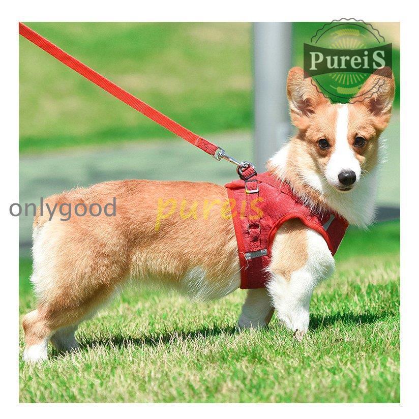 2-5日出荷 新品推奨 犬 ハーネス リード付 ペット服 ウェアハーネス 胴輪 キャット ドッグ メッシュ 一体型 胸あて式 軽量 調節可能 犬用 小型犬 ペット用品 猫用首輪 猫/犬 可愛い ポイン