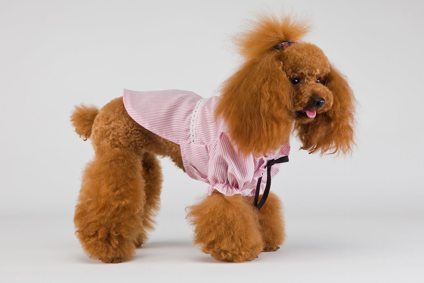 猫 犬 洋服 犬服 ペット服 大中小型犬 ペット用品 犬/猫用 犬の服 ペットウエア 小型犬 中型犬 通気 可愛い ドッグウェア トレーナー 犬 服 ワンピース サロペット ビションフリーゼ 犬猫服