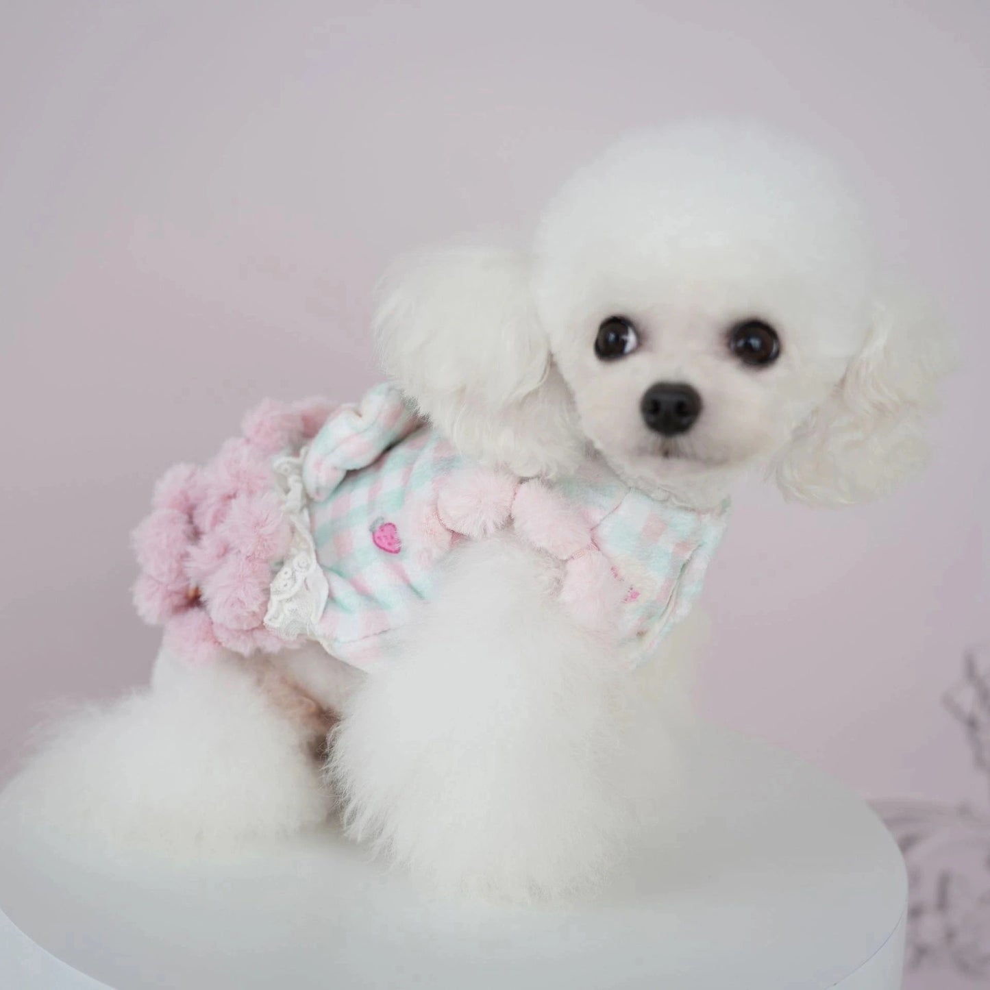 犬服秋冬新作 犬服 チェック柄 くま いちご スカート 猫 かわいい あったか スカート