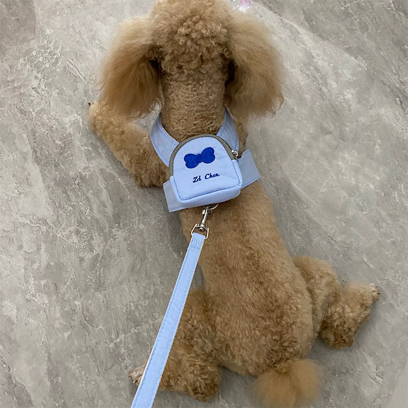 かわいいペットの犬はバックパックから散歩に出かけます