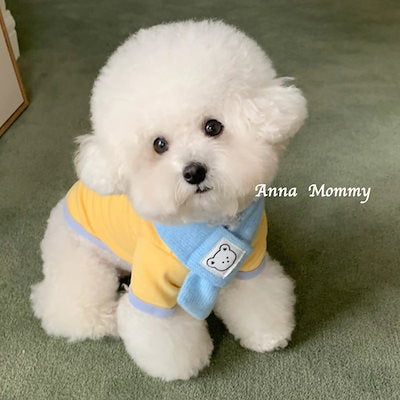2025新作春秋 ペット服/犬猫服 犬 洋服/犬用品 /小中型犬 無料マフラー子犬春秋服