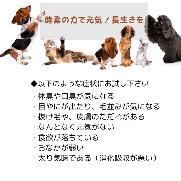 ヘルスチャージD 500ml 犬 猫 ペット フェレットサプリ 動物用サプリメント 大容量 抜け毛 犬 サプリメント ストレス 猫 サプリメント 酵素 免疫力 【ピュアーヌ ペットde酵素500ml