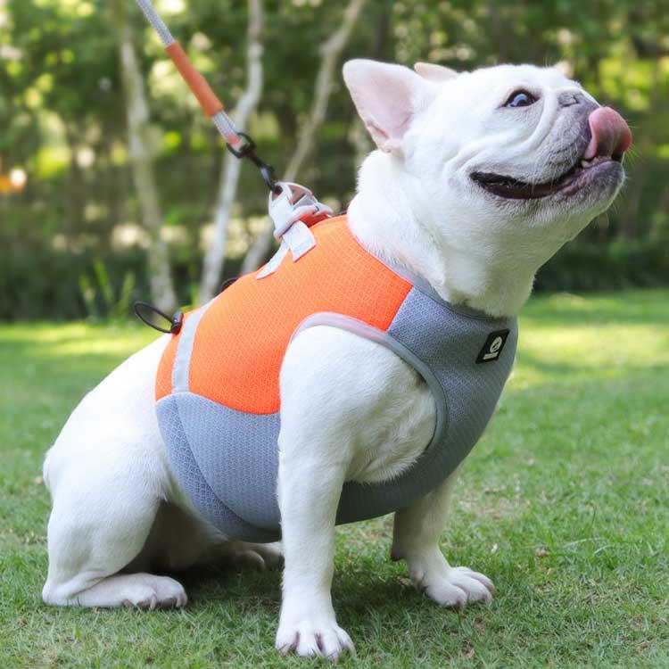 【今月限りのアクティビティ】【出荷が迅速である】犬 熱中症対策 犬クールウェア 犬クールベスト ハーネス 気化熱 冷却 涼しい 犬服 夏用 冷感服 小型犬 中型犬 大型犬 夏用服 紫外線対策 軽量 ク