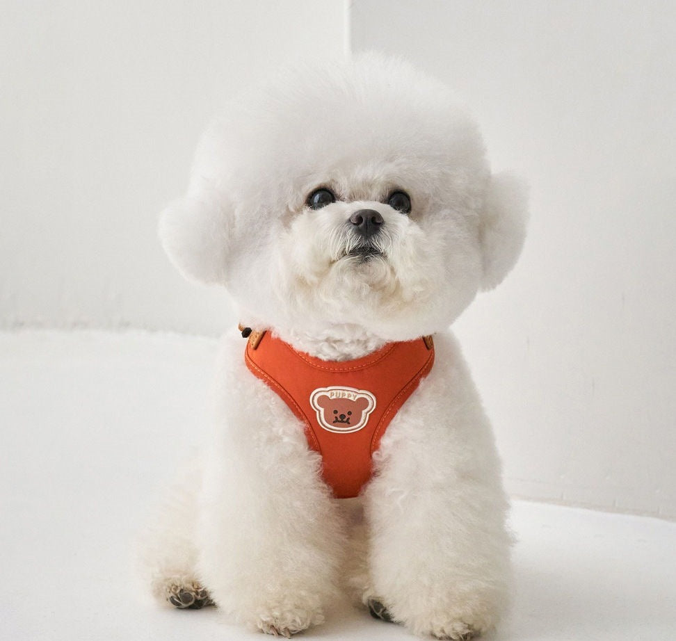 ペット胸ストラップ牽引セット小型犬外出ベスト式牽引ロープ通気テディ熊犬ロープ メガ割ワンピースパンツトートバッグ