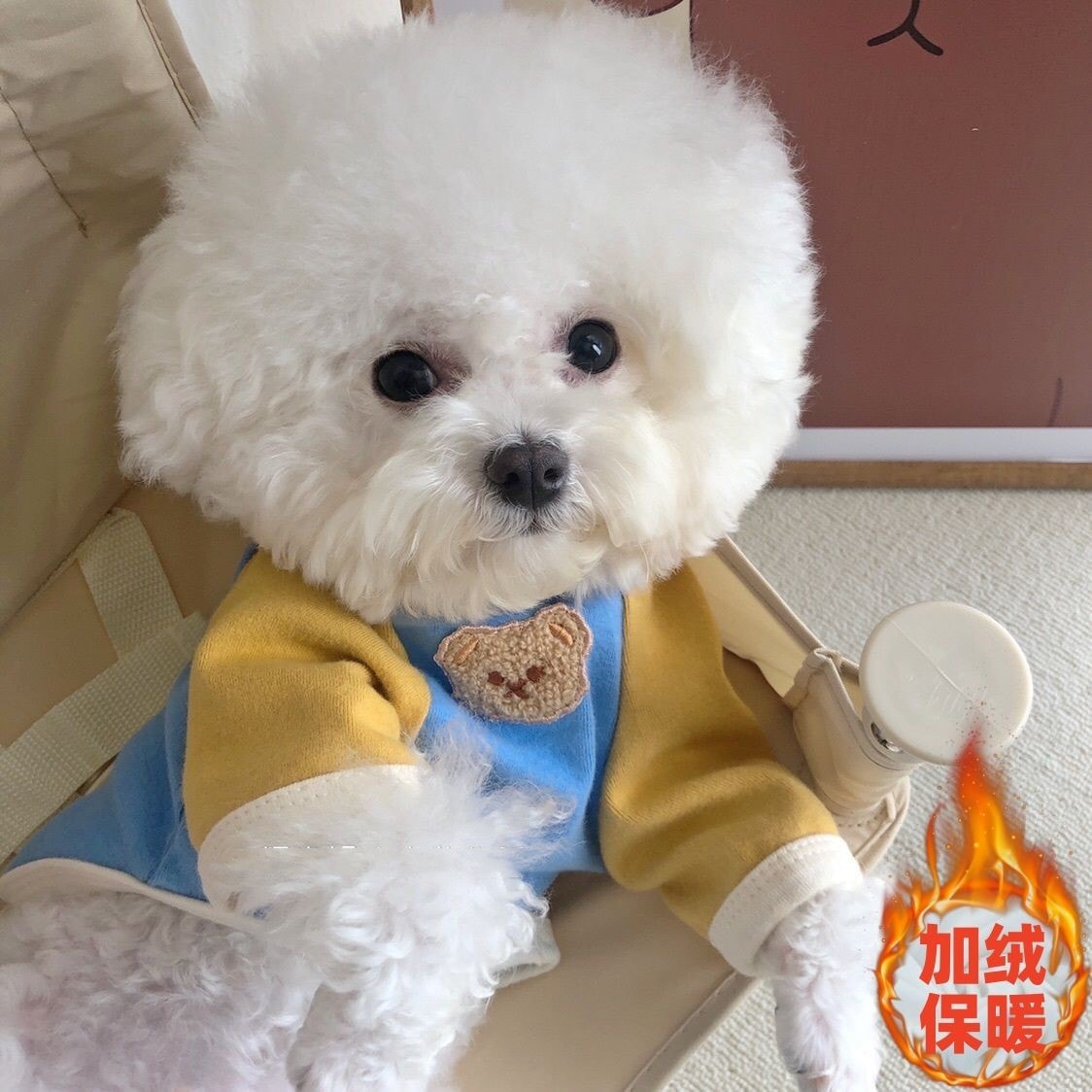 韓国 ペットウェア 新しい切り替えペット冬服 暖かいゆったりペットウェア シンプル中型犬服 可愛い