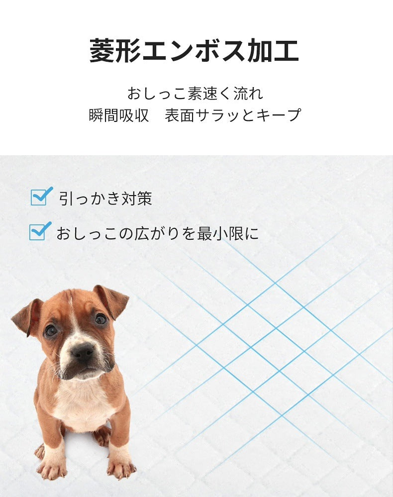 <a href="https://www.qoo10.jp/gmkt.inc/Search/brand.aspx?brandno=109151" target="_blank" class="title_brand" id="btn_brand" title="Honeycare">Honeycare</a>ペットシーツ 薄型 ペットシート 犬猫 サイズ選択可 レギュラー800枚 ワイド400枚 スーパーワイド200枚