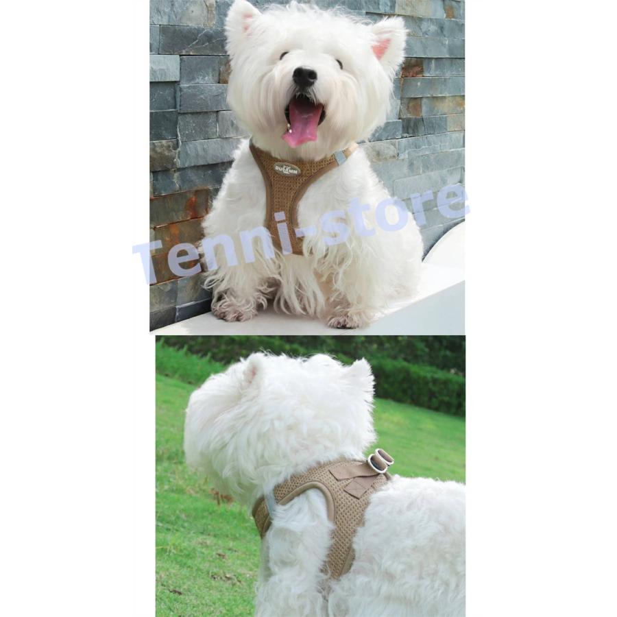 今週の新製品 タイムセール アウトレット 犬 猫 ハーネス 小型犬 中型犬 猫用 ネコ ウェアハーネス ハーネス&リードセット 犬ハーネス 抜けない 一体型 かわいい 簡単着脱 在庫が限られている在庫