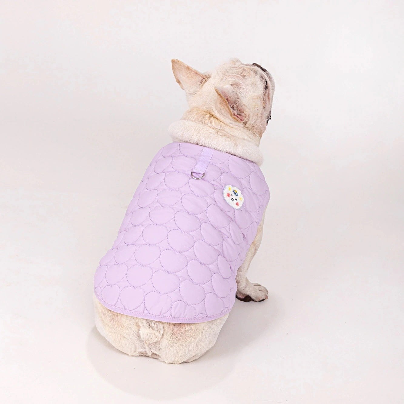 人気ペット服 犬の服 ペットの服 秋冬 ブルドッグモデル ブルドッグ 4色 コットンベスト