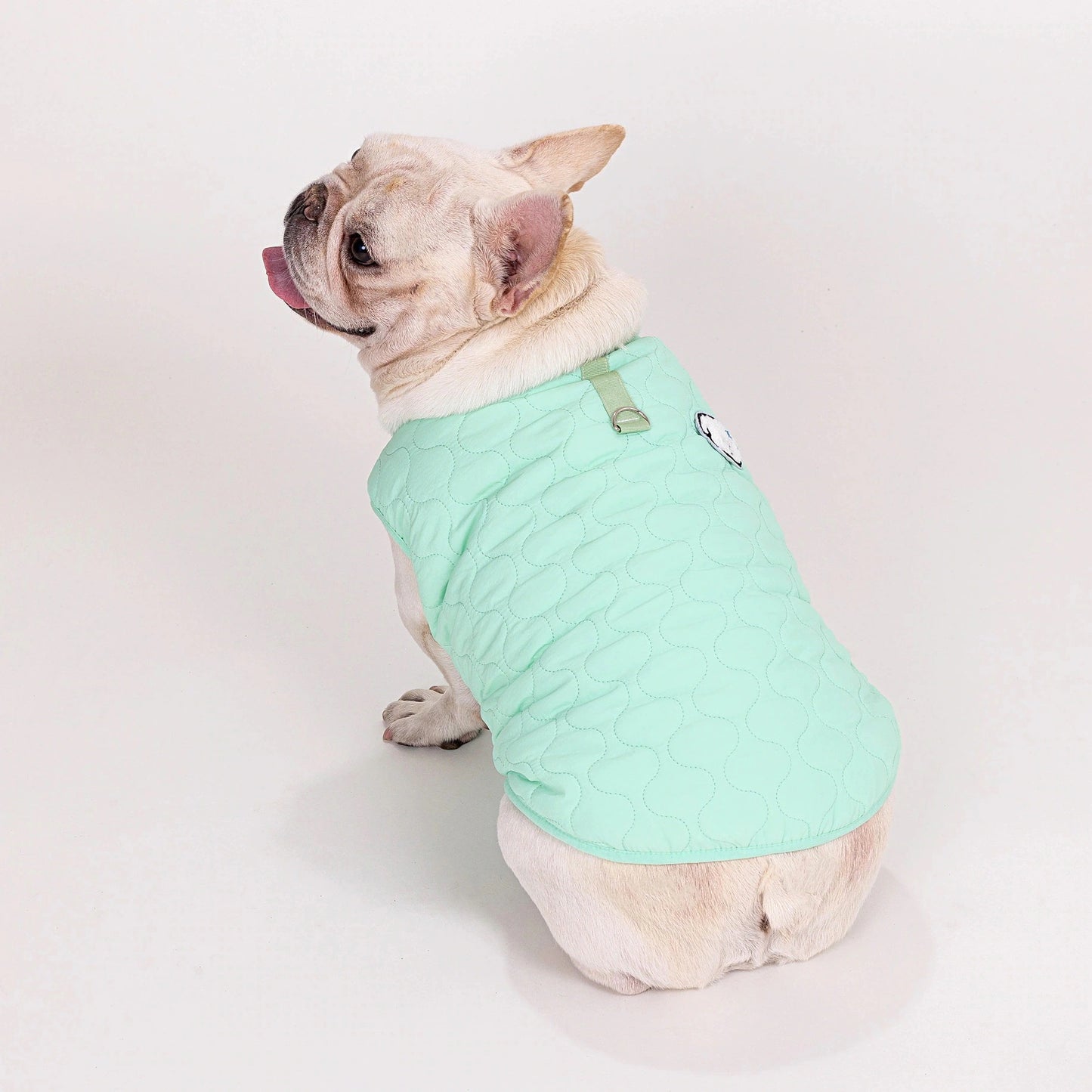 人気ペット服 犬の服 ペットの服 秋冬 ブルドッグモデル ブルドッグ 4色 コットンベスト