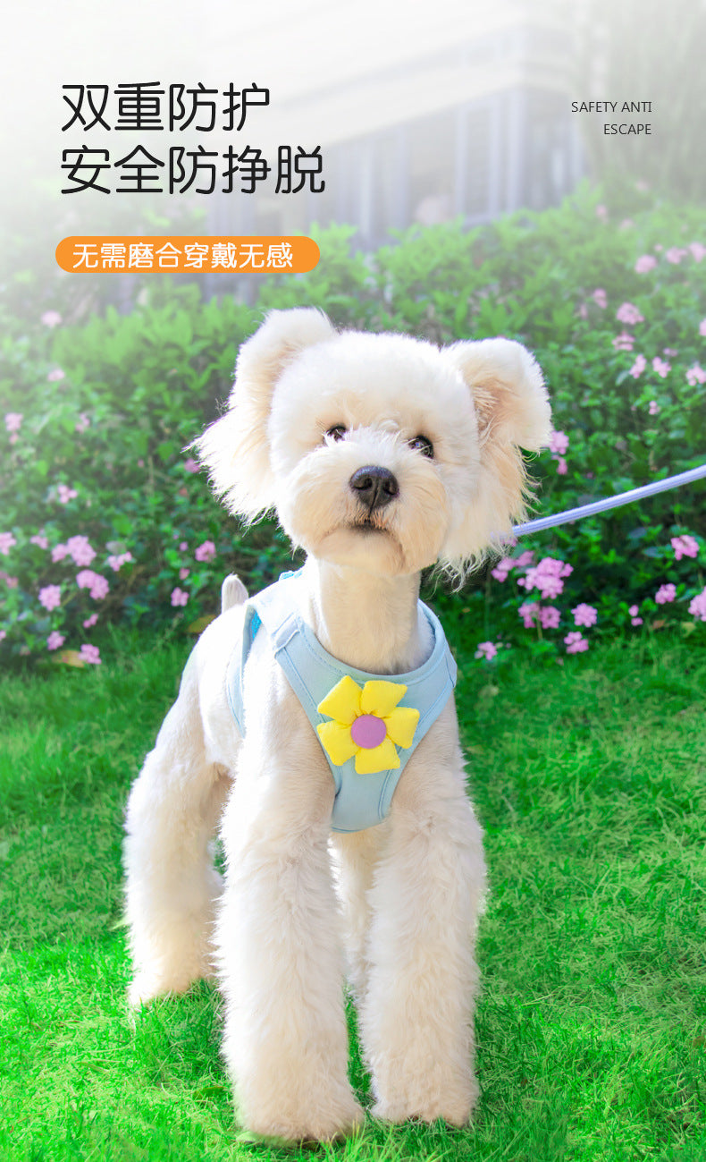 小型犬 犬 リード 75 猫用 中型犬 ペットハーネス ペット用品 シンプル 胴輪 お出かけ 犬用 2点セット ハーネス ネコ用ハーネス お散歩 簡単装着 犬用ハーネス 軽量 おしゃれ ハーネスリード