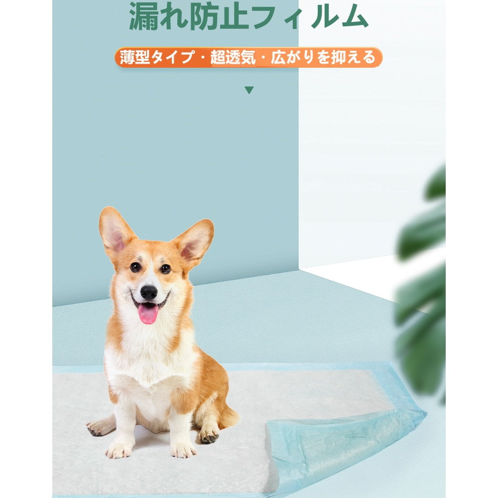 <a href="https://www.qoo10.jp/gmkt.inc/Search/brand.aspx?brandno=109151" target="_blank" class="title_brand" id="btn_brand" title="Honeycare">Honeycare</a>ペットシーツ 薄型 ペットシート 犬猫 サイズ選択可 レギュラー 800枚 ケース販売