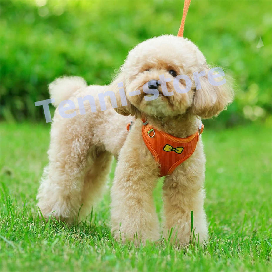 今週の新製品 タイムセール 犬 猫 ハーネス 小型犬 中型犬 猫用 ネコ 柔らかい 軽量 可愛いリボン刺繍ウェアハーネス ハーネス&リードセット 犬ハーネス 抜けない 一体型 在庫が限られている在庫が