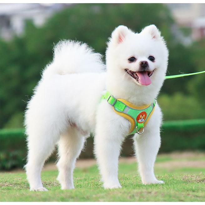 中型犬 簡単装着 犬 犬の 胴輪 小型犬 かわいい 脱げない 犬用 おしゃれ 大型犬 リード ハーネス