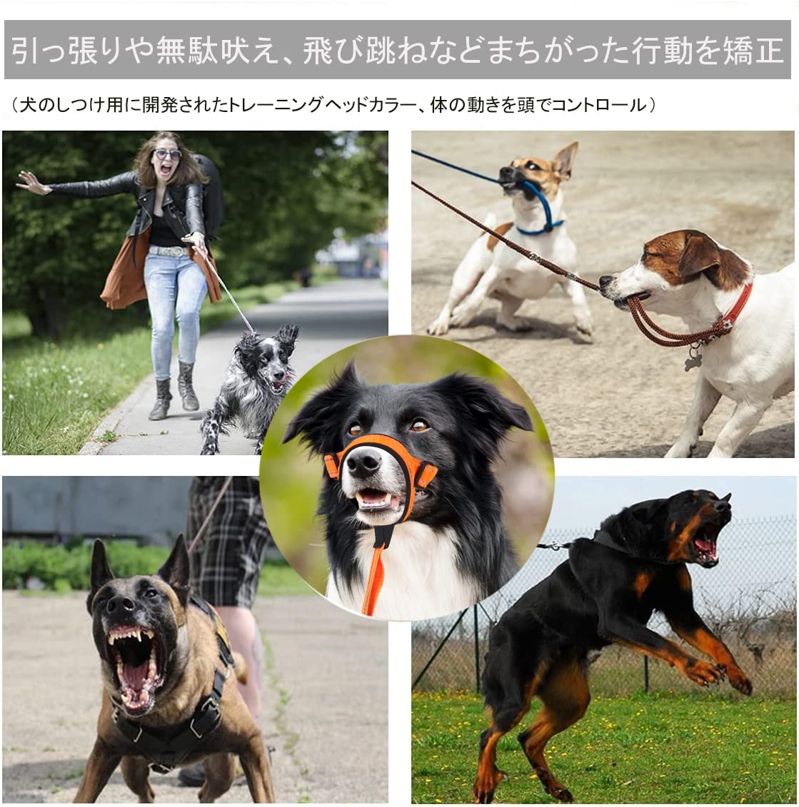 新作セールVOOPH ジェントルリード 犬 トレーニングヘッドカラー 犬用ヘッドカラー ペット用品 ヘッドカラー ジェントルリーダー 犬の首輪マズル 犬ホルター ヘッドカラー クイックリリース トレー