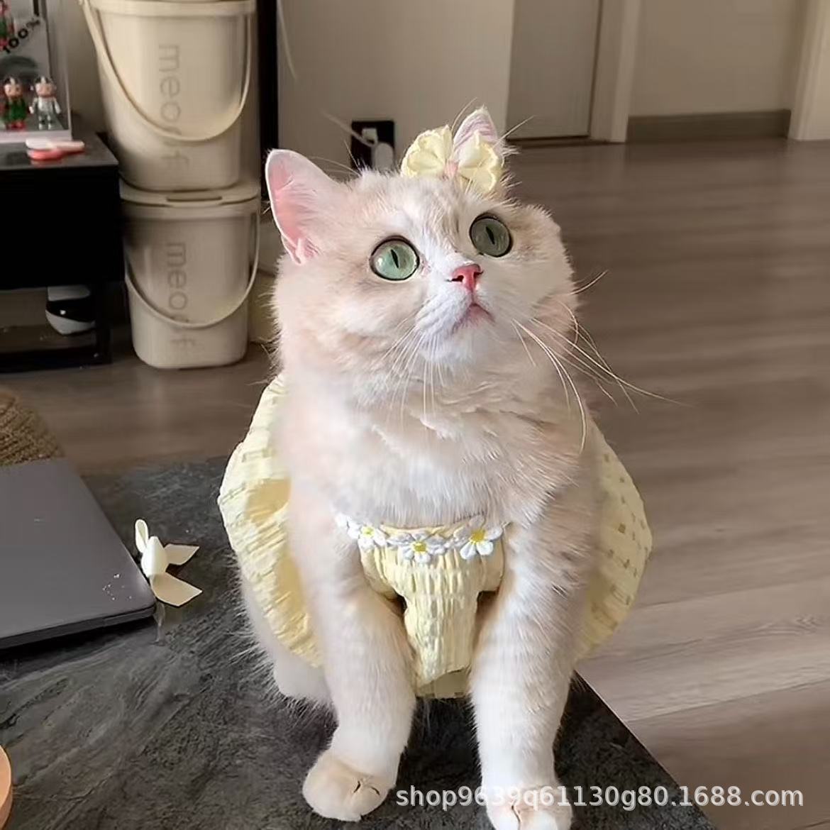 お得な商品 犬服 かわいい バルーン ドレス 犬洋服 猫服 猫 ワンピース 猫用 犬の服 犬用服 ペット服 キャミソール 犬 透け感 夏 春夏 犬服夏 着せやすい大好評