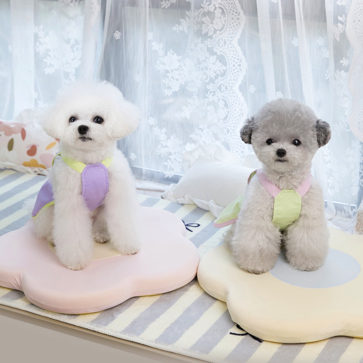 猫 犬 洋服 犬服 ペット服 大中小型犬 ペット用品 犬/猫用 犬の服 ペットウエア 小型犬 中型犬 通気 可愛い ドッグウェア トレーナー 犬 服 ワンピース サロペット ビションフリーゼ 犬猫服