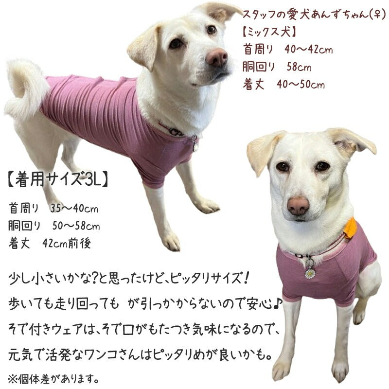 <a href="https://www.qoo10.jp/gmkt.inc/Search/brand.aspx?brandno=125763" target="_blank" class="title_brand" id="btn_brand" title="Coo Couture">Coo Couture</a>SWDテラヘルツワンベルクロTシャツペット介護 犬用ペットウェア 中型犬 大型犬 犬服 テラヘルツワン クークチュール 2メ-3運 12137 【T】