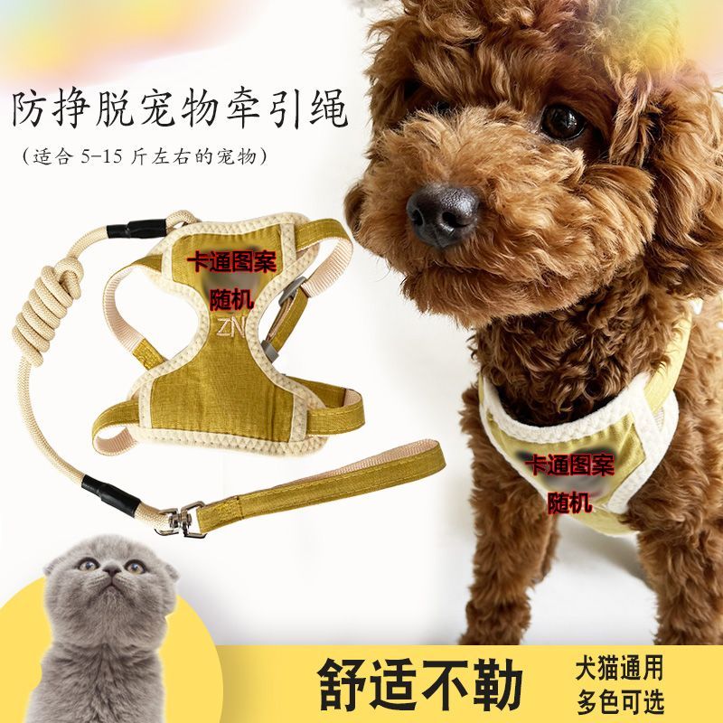 ミッキーは犬を散歩します