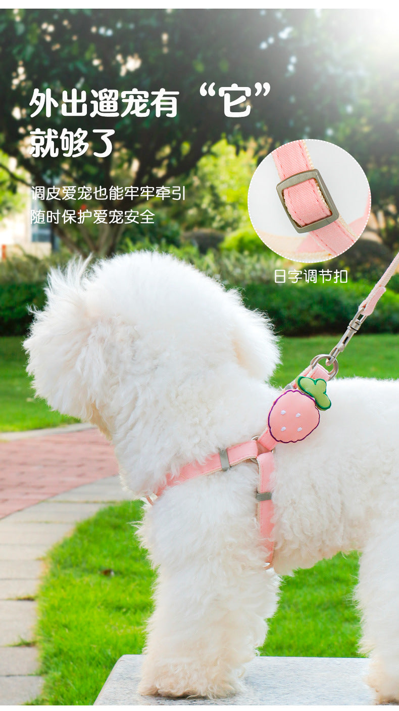 2点セット 簡単装着 犬 おしゃれ シンプル 中型犬 軽量 犬用 猫用 ペット用品 胴輪 ハーネス 小型犬 ネコ用ハーネス リード 45 ハーネスリードセット ペットハーネス リーシュ お出かけ お散