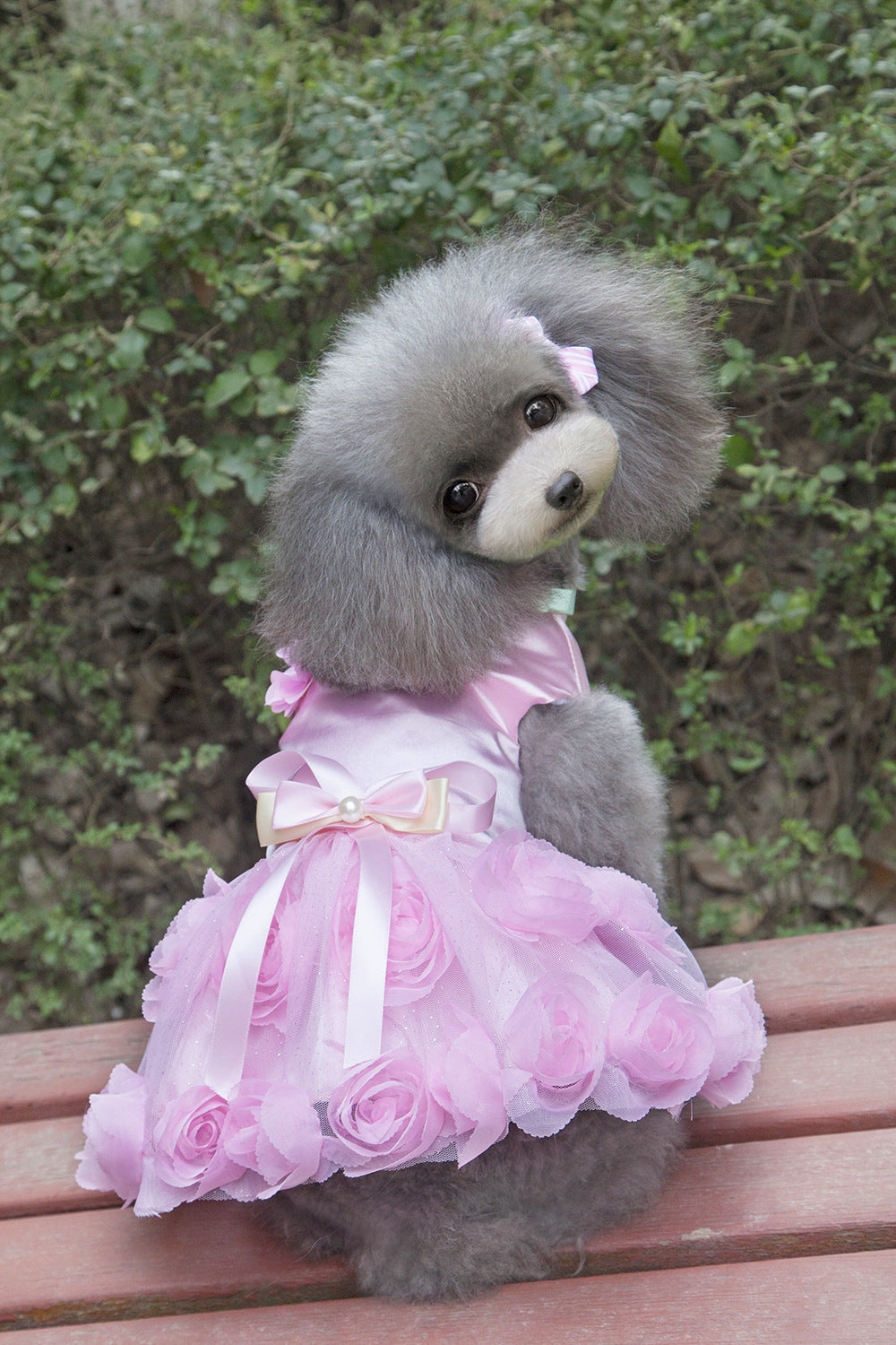 猫 犬 洋服 犬服 ペット服 大中小型犬 ペット用品 犬/猫用 犬の服 ペットウエア 小型犬 中型犬 通気 可愛い ドッグウェア トレーナー 犬 服 ワンピース サロペット ビションフリーゼ 犬猫服