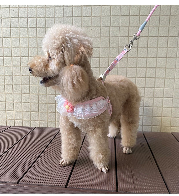犬の牽引紐レースの胸の帯のテディ比熊の小型犬の牽引犬の縄は犬のひもの犬のチェーンを散歩します