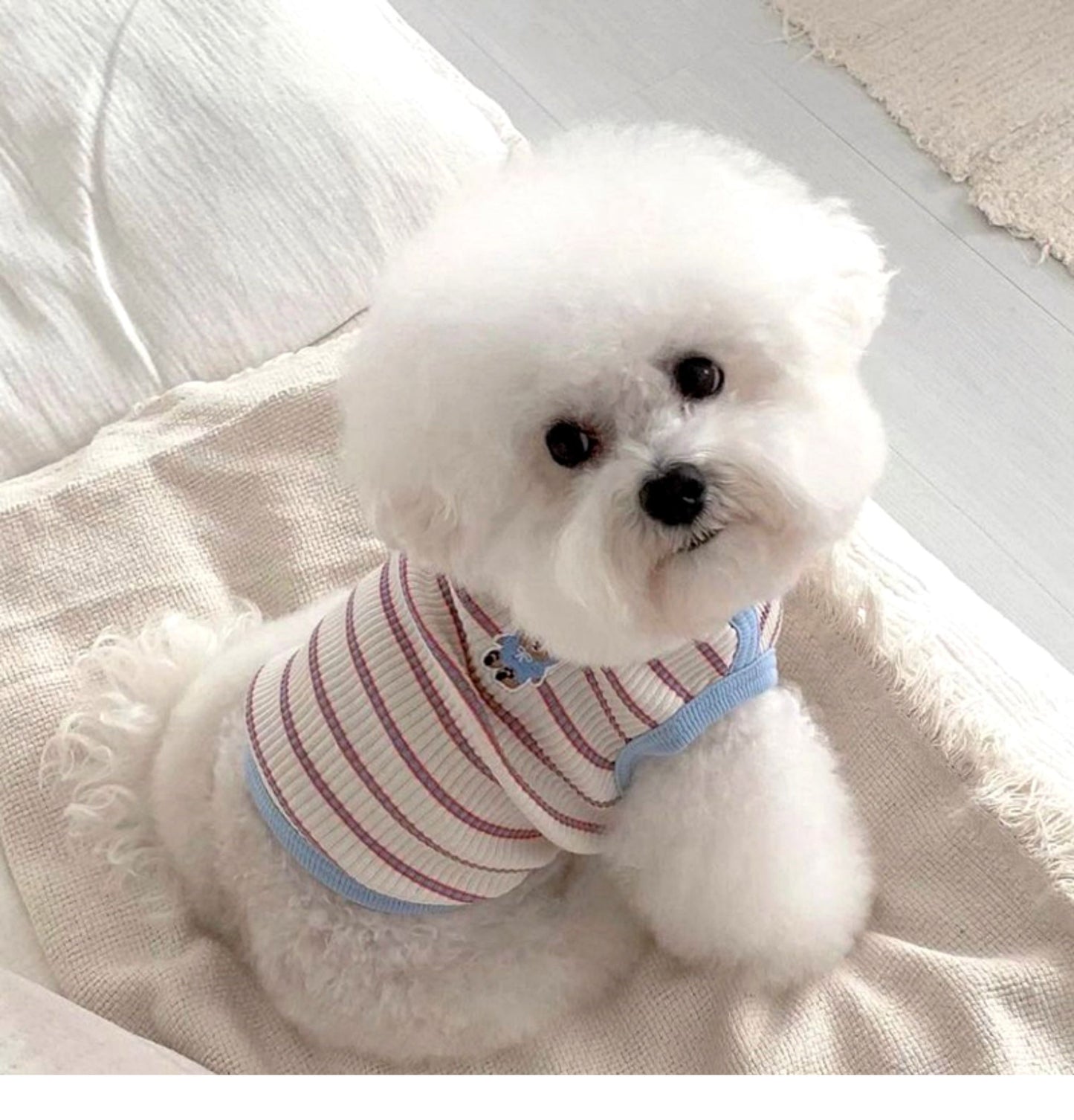 春夏新作 犬服 ペット服 犬 洋服 ペット 犬用品 小中型犬 夏薄型ペットベスト猫小型子犬犬服夏