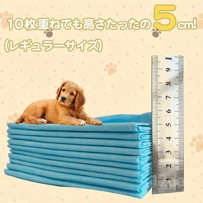 【急速出荷!】【本日限定】ペットシーツ 薄型 レギュラー 100枚 ワイド 50枚 スーパーワイド 20枚 業務用 トイレシート ペット シーツ 犬 猫