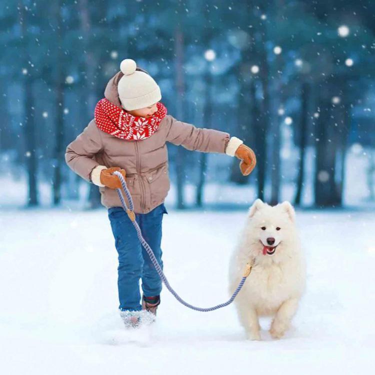 犬 リード ロープ 手作り ハンドメイド 自然素材 低アレルギー性 天然コットン 綿 本革 リアルレザー ゴールド 丈夫 かわいい おしゃれ 小型犬 中型犬 大型犬