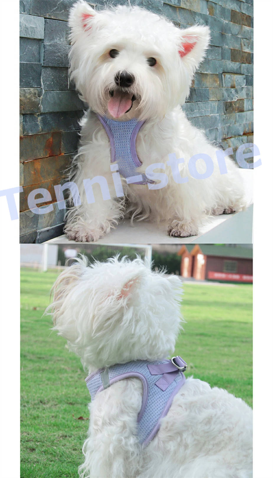 今週の新製品 タイムセール アウトレット 犬 猫 ハーネス 小型犬 中型犬 猫用 ネコ ウェアハーネス ハーネス&リードセット 犬ハーネス 抜けない 一体型 かわいい 簡単着脱 在庫が限られている在庫