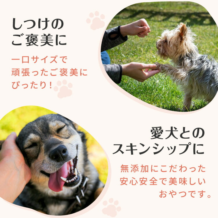 【お魚4点セット】 犬用 おやつ 食べ切りサイズ 無添加 お魚 日本製 国産 犬用おやつ ご飯 ご褒美 トリーツ トッピング 素材系 魚 mimipets オリジナル 犬 小型犬 室内犬 ペット(代引