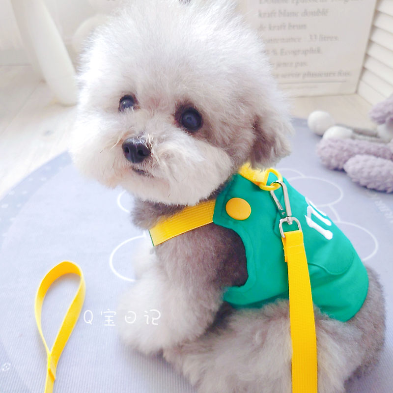 ペットの猫の小型犬のテディの犬の胸のストラップの牽引ロープのベスト式のドッグランの犬のひものかっこいいかわいい衝突色 メガ割ワンピースパンツトートバッグ