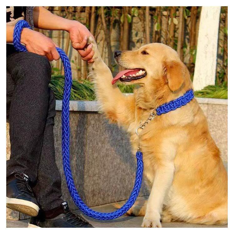 首輪付きリードセット セット ハーフチョーク 全11色×4サイズ XL + しつけ ペット 首輪 犬 中型犬 大型犬 パラコード S M L リード