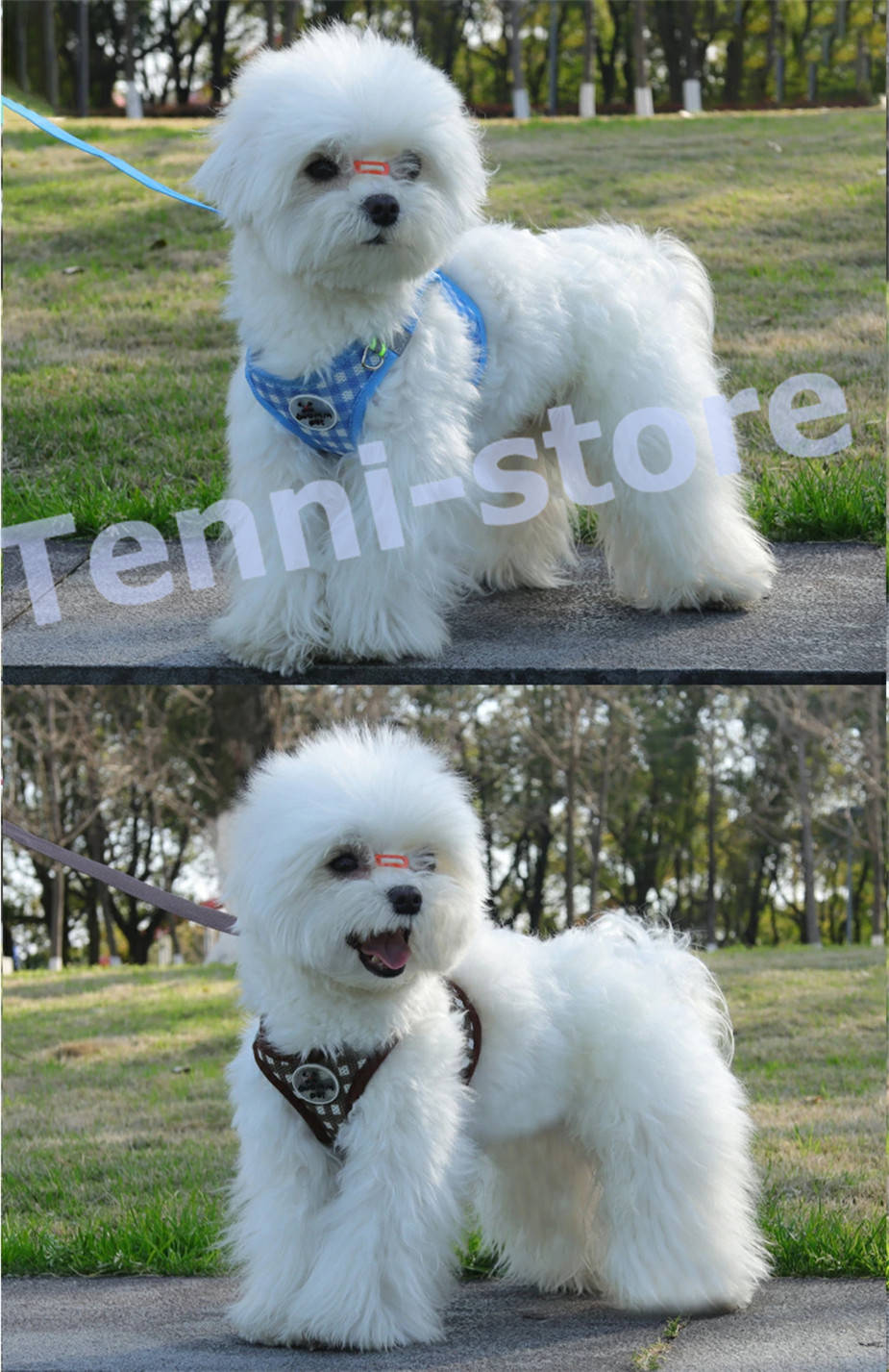 今週の新製品 タイムセール アウトレット 犬 猫 ハーネス 小型犬 中型犬 猫用 ネコ ウェアハーネス ハーネス&リードセット 犬ハーネス 抜けない 一体型 かわいい 簡単着脱 在庫が限られている在庫