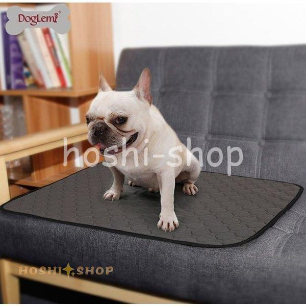 数量限定 犬用 トレーニングパッド ペットシーツ 洗える トイレ下敷きマット 速乾 洗える 選べる 3サイズ2カラー (SサイズMサイズ)