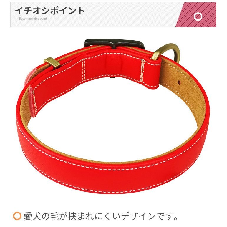 首輪 犬 ベーシック 毛挟まれ防止 犬首輪 革 おしゃれ かわいい 中型犬 犬の首輪 柴犬 いぬ く