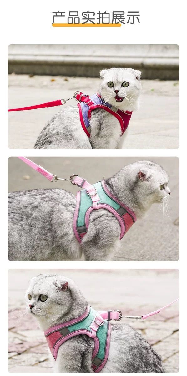 超目玉新品良いレビューハーネス小型犬抜けないおしゃれハーネスリードセット猫ハーネスリードセット小型犬ペット用品マジックテープ夜間反射犬リードハーネスセット
