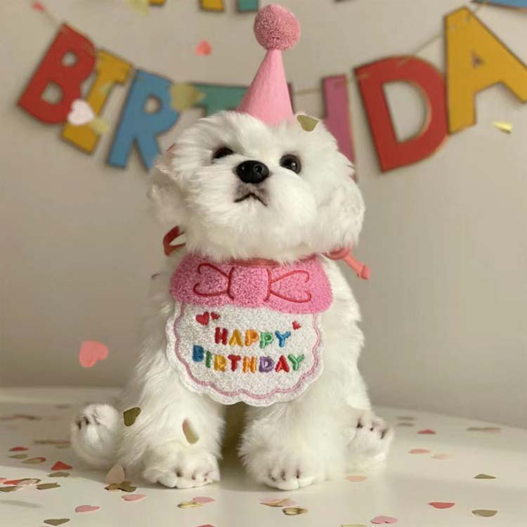 新作セールスタイ 誕生日 撮影 ハット ペット用 猫 バースデー ビブ 帽子 犬用 スカーフ よだれかけ 小型犬 ハッピーバースデー お祝い 写真 ペット用品 首飾り アクセサリー おしゃれ かわいい