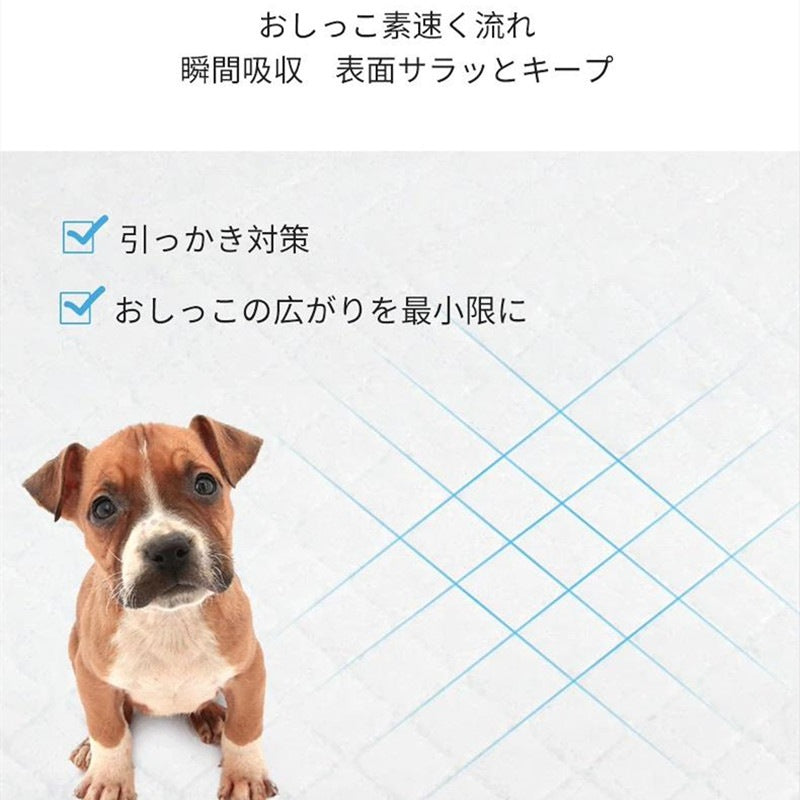 <a href="https://www.qoo10.jp/gmkt.inc/Search/brand.aspx?brandno=109151" target="_blank" class="title_brand" id="btn_brand" title="Honeycare">Honeycare</a>ペットシーツ 薄型 ペットシート 犬猫 サイズ選択可 レギュラー800枚 ワイド400枚 スーパーワイド200枚