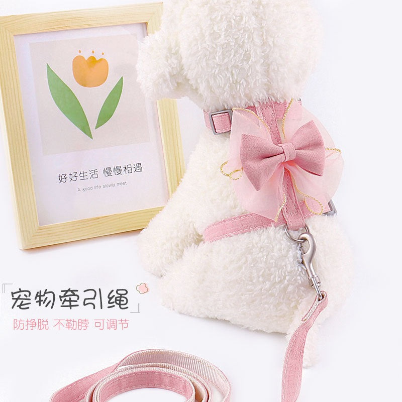2点セット 80 お出かけ ペット用品 ハーネスリードセット 犬用 シンプル ペットハーネス おしゃれ 犬 リーシュ お散歩 中型犬 小型犬 リード 犬用ハーネス 軽量 胴輪 猫用 簡単装着 ネコ用ハ