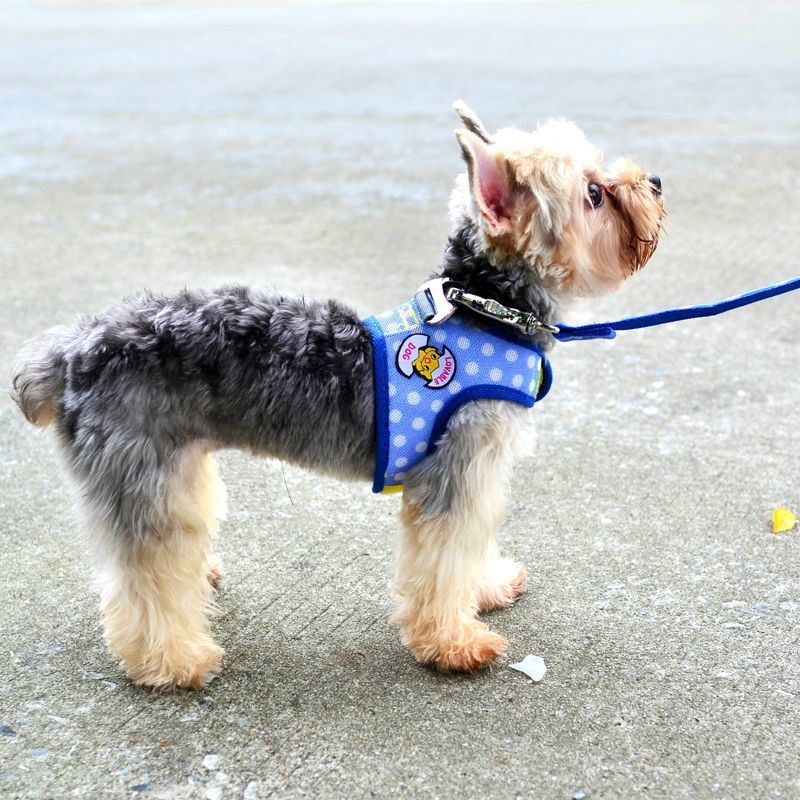 牽引紐通気小型ベスト犬チェーンテディはペットを連れて犬を散歩します メガ割ワンピースパンツトートバッグ