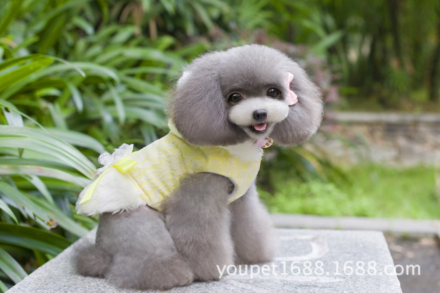 猫 犬 洋服 犬服 ペット服 大中小型犬 ペット用品 犬/猫用 犬の服 ペットウエア 小型犬 中型犬 通気 可愛い ドッグウェア トレーナー 犬 服 ワンピース サロペット ビションフリーゼ 犬猫服