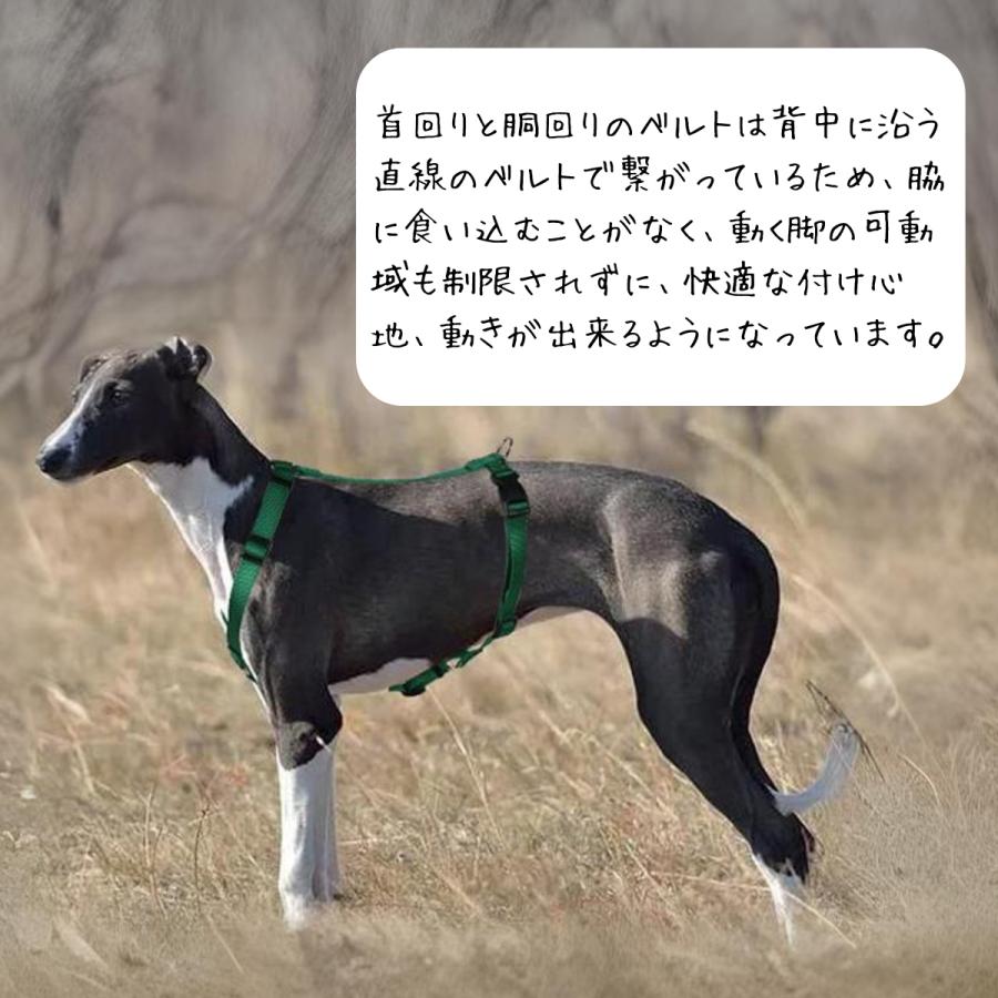 首輪 簡単装着 犬 リード バ 散歩 型犬 胴輪 中型犬 抜けない 安心 クッション 夜 ナスカン ハーネス ックル 脱げない 小型犬 頑丈 ロック機能 大