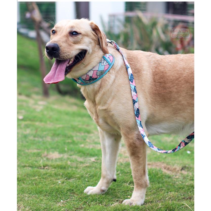 首や喉に優しい 和柄 ペット ペットグッズ 中型犬 ソフト 光反射 小型犬 大型犬 幅広 首輪 素材 犬 ドッグ