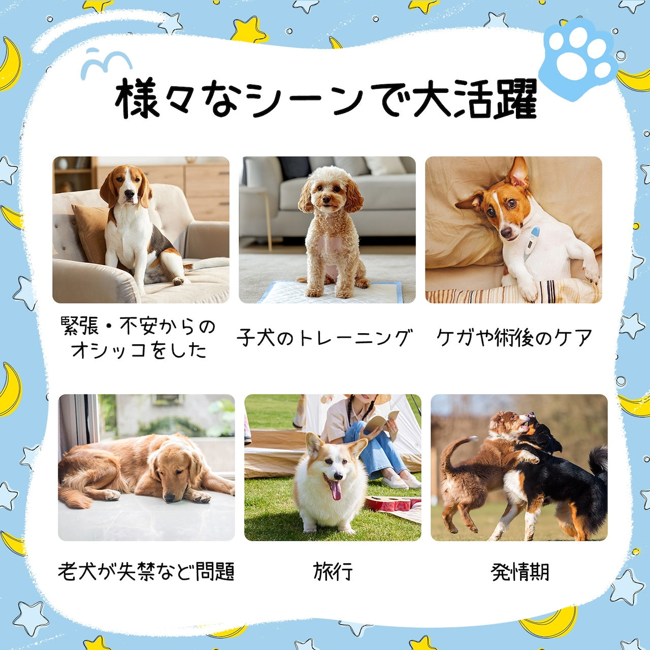 <a href="https://www.qoo10.jp/gmkt.inc/Search/brand.aspx?brandno=136149" target="_blank" class="title_brand" id="btn_brand" title="Japapet">Japapet</a>ペットオムツ マナーベルト 男の子用 犬用オムツ 4袋セット 5サイズ 52/48/46/42/38枚入 マナーおむつ ペット用おむつ 介護用 ペット用生理パンツ 長時間使用