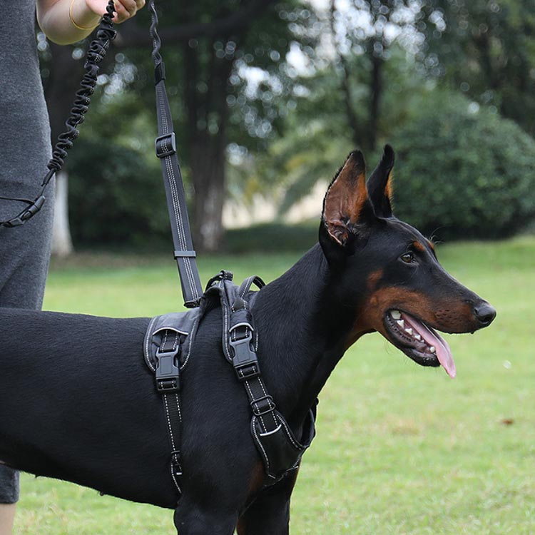高い人気 リード 犬 ハンズフリー 腰に巻ける 肩掛け 犬リード 大型犬 中型犬 小型犬 しつけ用リード 犬と一緒にランニング/ジョギング/散歩用 ベルト ショルダー ポール留め マルチ ペット用品