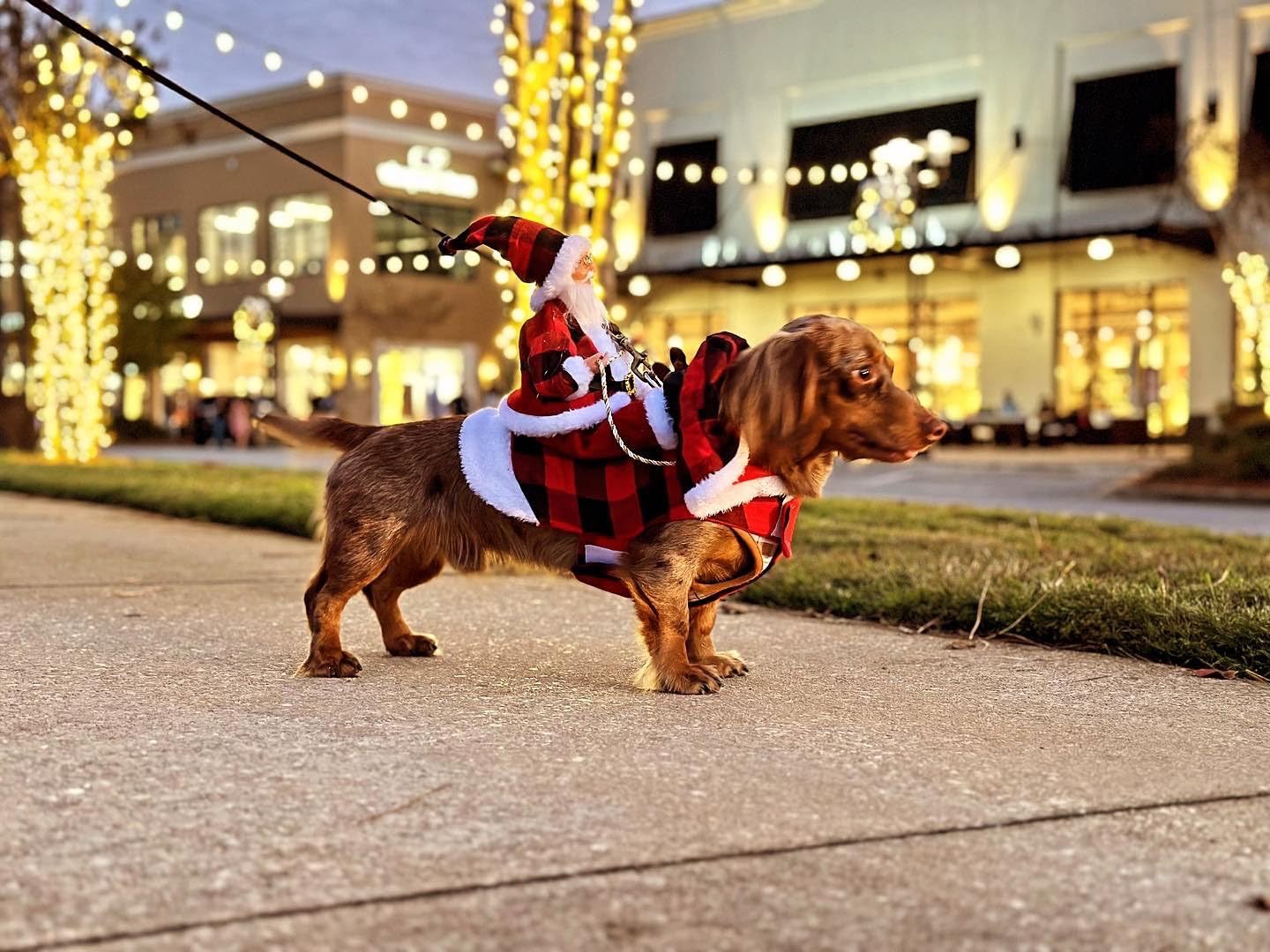 ペット犬クリスマス衣装サンタ乗馬スーツクリスマスペット服鹿乗馬スーツペットクリスマス用品
