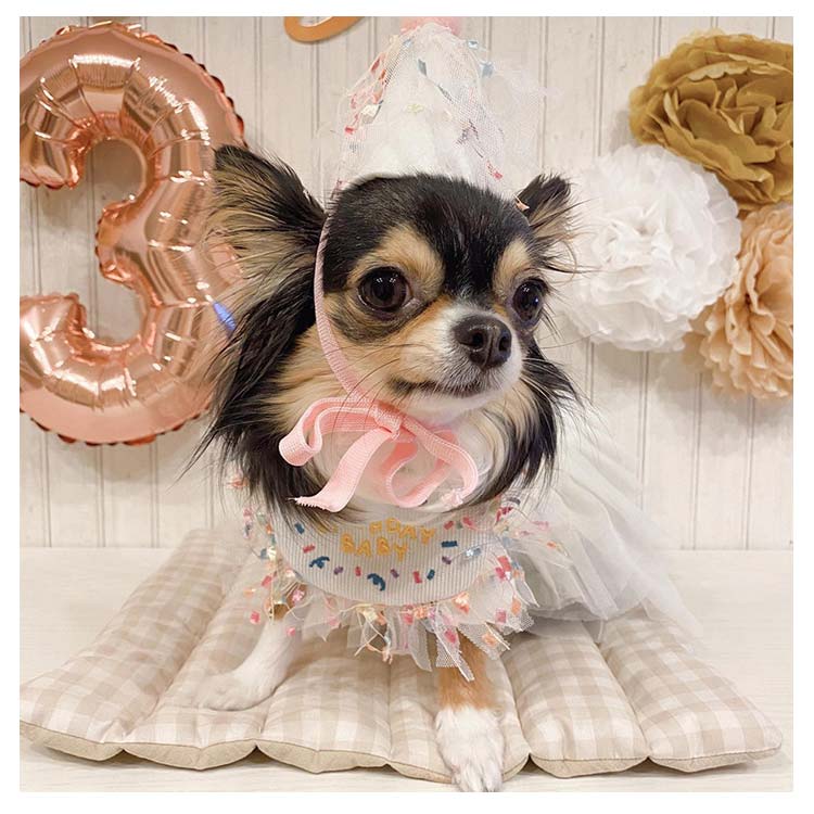 新作セール犬 バースデー よだれかけ 猫 かわいい スカーフ 小型犬 ペット用 ビブ 首飾り 誕生日 ハッピーバースデー ドッグウェア アクセサリー おしゃれ いぬ プレゼント ギフト スタイ ネコ