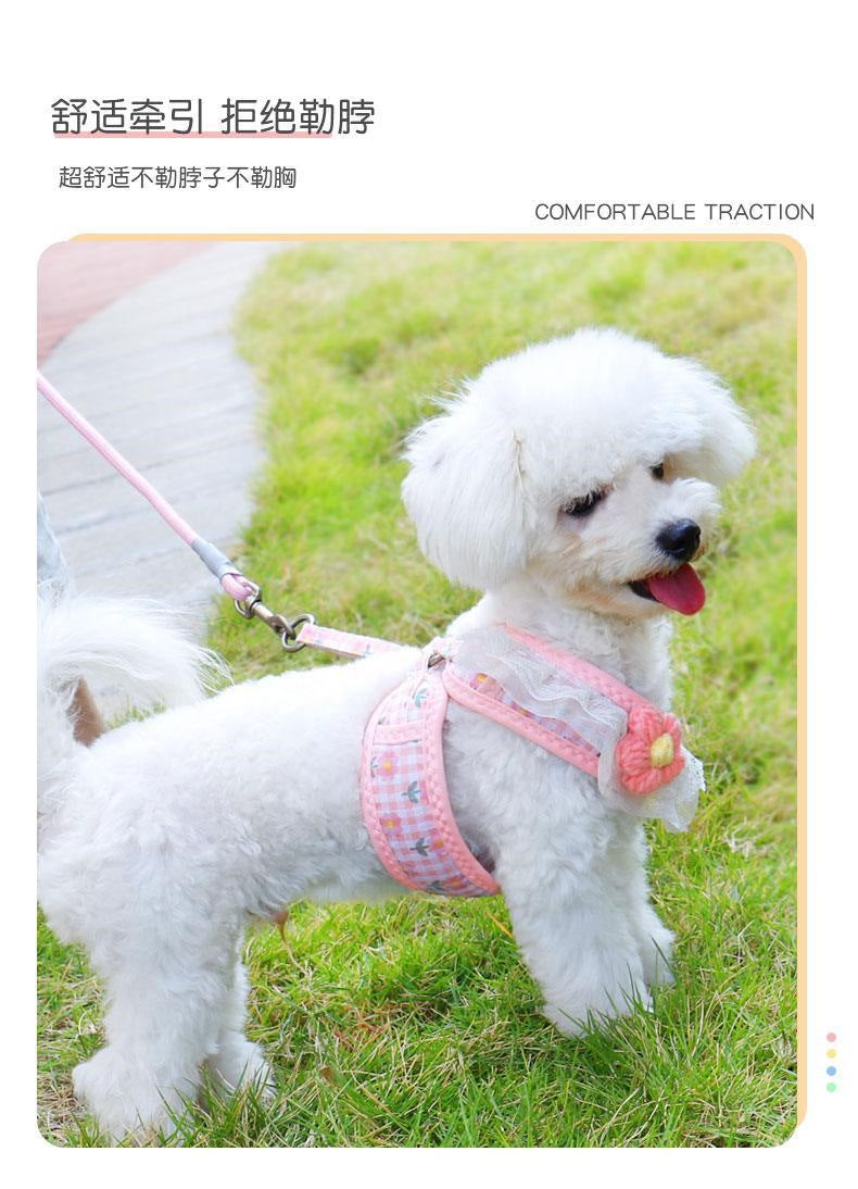 犬の牽引紐は犬のチェーンの小型犬のペットの胸の帯のテディの熊の子犬を散歩します